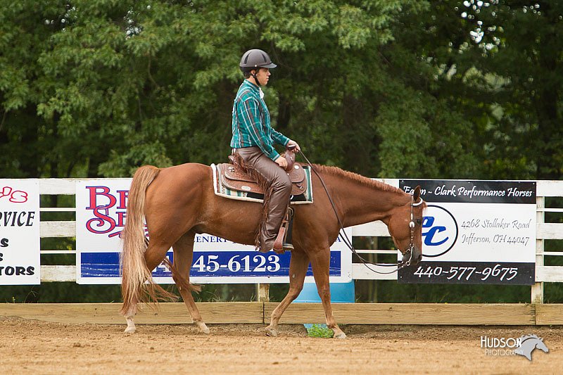4H-Districts-11_1086.jpg