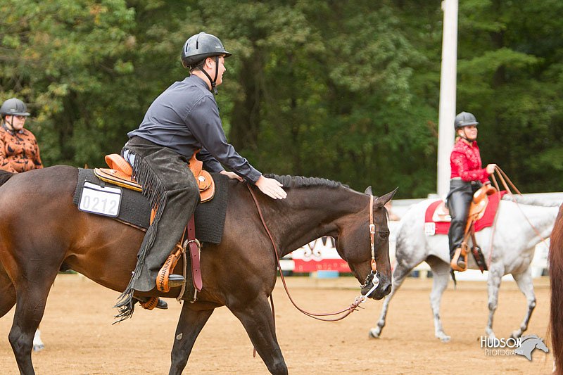 4H-Districts-11_1106.jpg