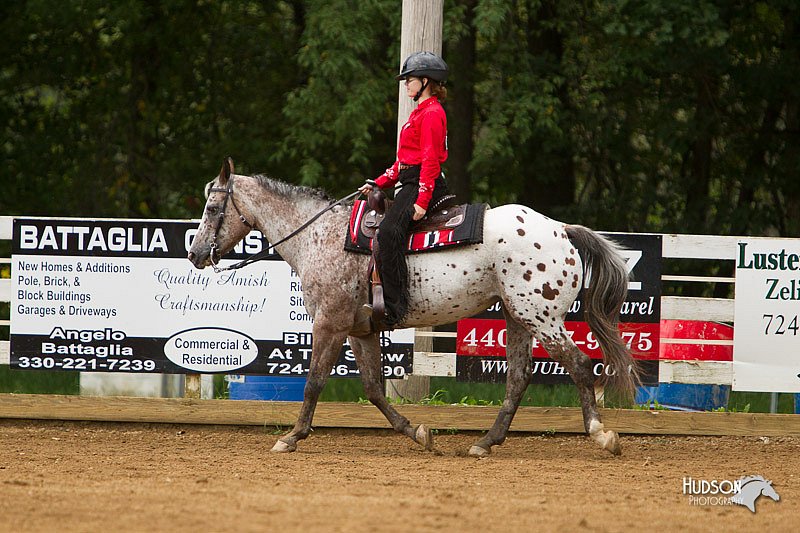 4H-Districts-11_1109.jpg