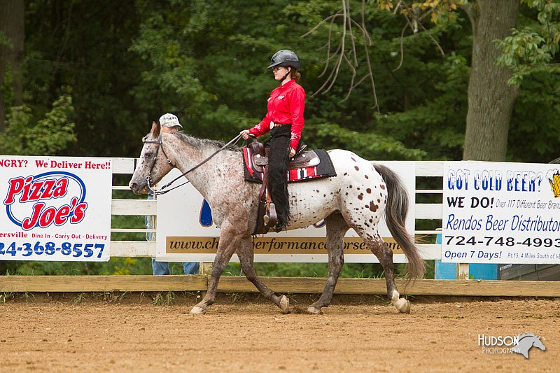 4H-Districts-11_1119.jpg