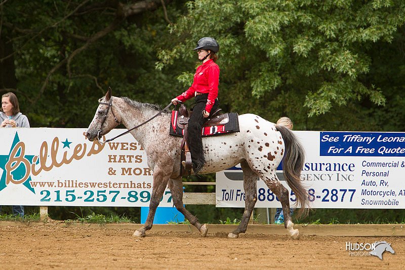 4H-Districts-11_1120.jpg