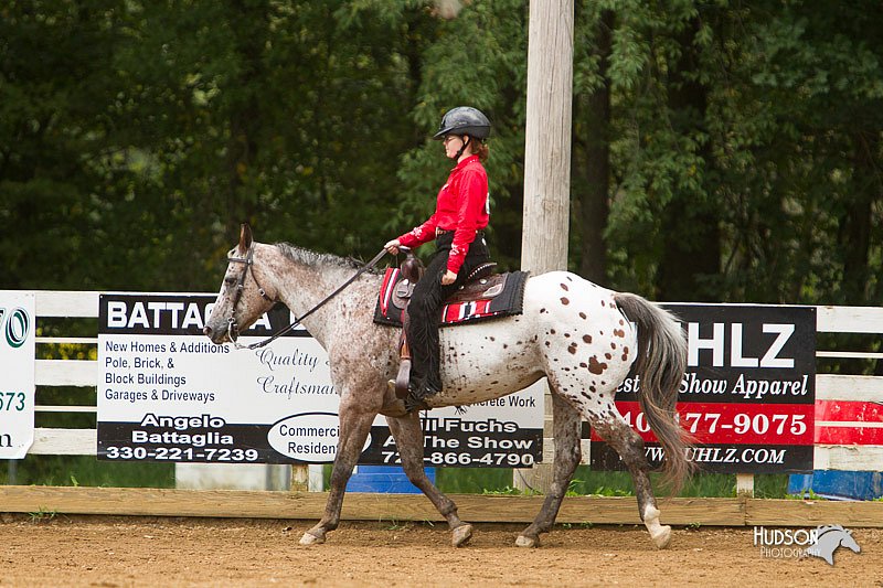 4H-Districts-11_1121.jpg
