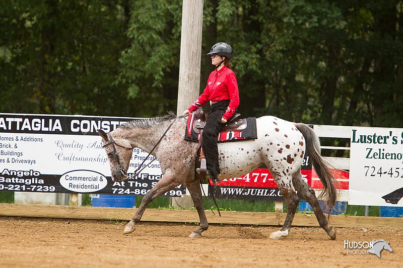 4H-Districts-11_1125.jpg