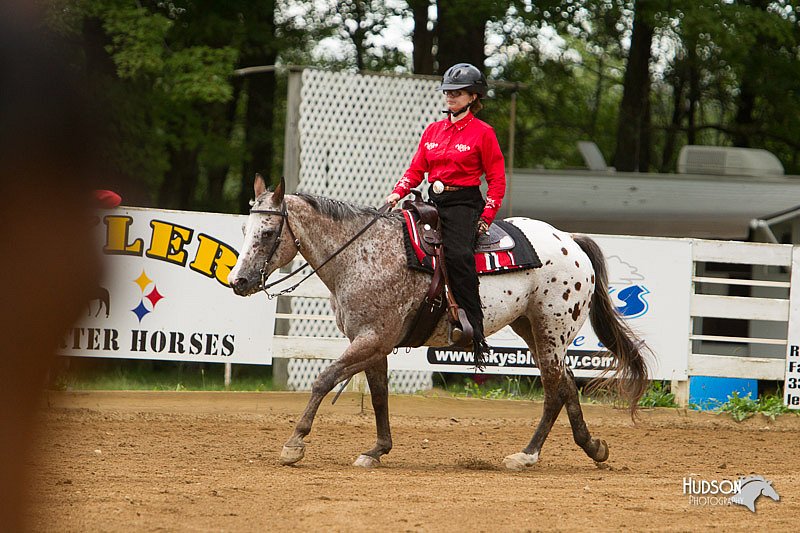 4H-Districts-11_1127.jpg