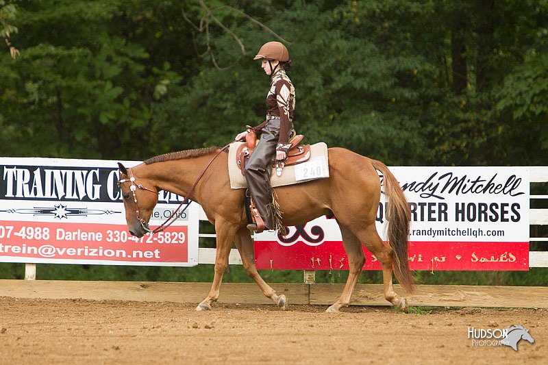 4H-Districts-11_1141.jpg