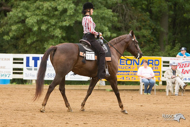 4H-Districts-11_1170.jpg