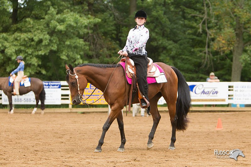 4H-Districts-11_1179.jpg