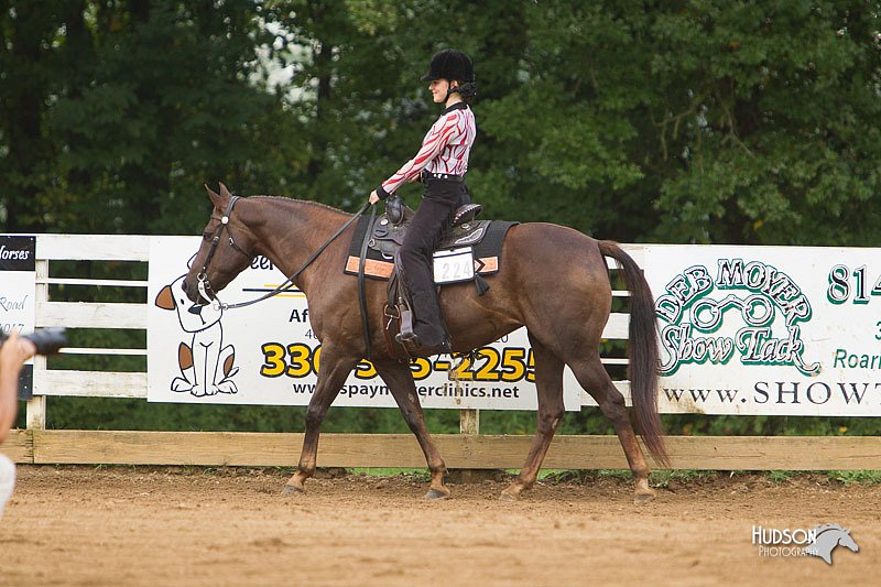4H-Districts-11_1191.jpg
