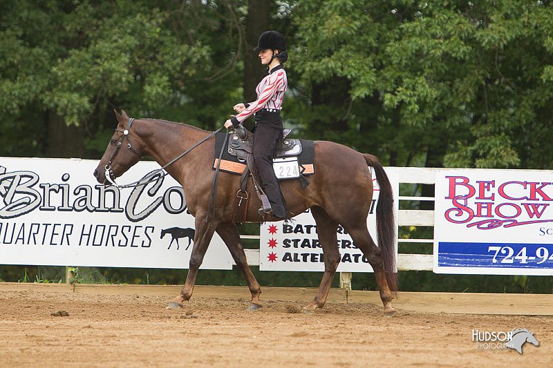 4H-Districts-11_1192.jpg