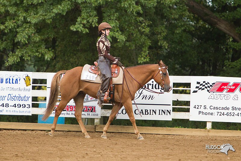 4H-Districts-11_1228.jpg