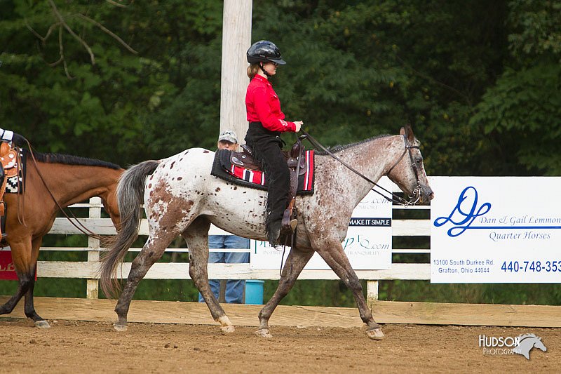 4H-Districts-11_1232.jpg