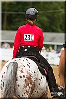 4H-Districts-11_1118.jpg