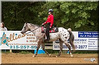 4H-Districts-11_1120.jpg
