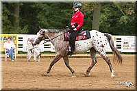 4H-Districts-11_1208.jpg