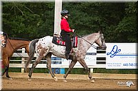 4H-Districts-11_1232.jpg