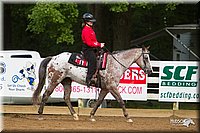 4H-Districts-11_1235.jpg