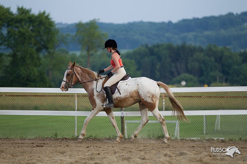 4H-Fun-Show-11_1560.jpg