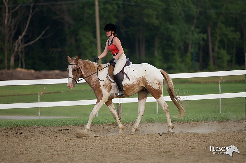 4H-Fun-Show-11_1564.jpg
