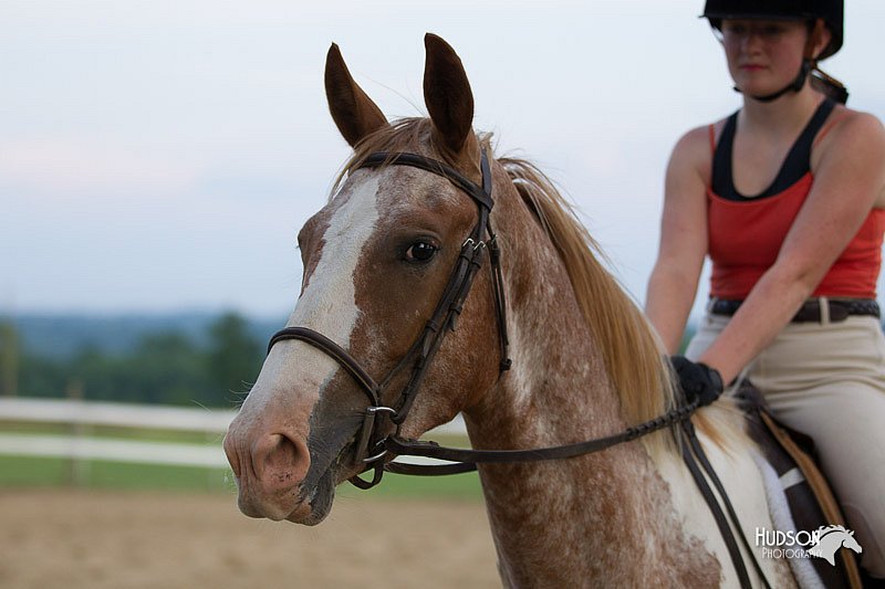 4H-Fun-Show-11_1566.jpg