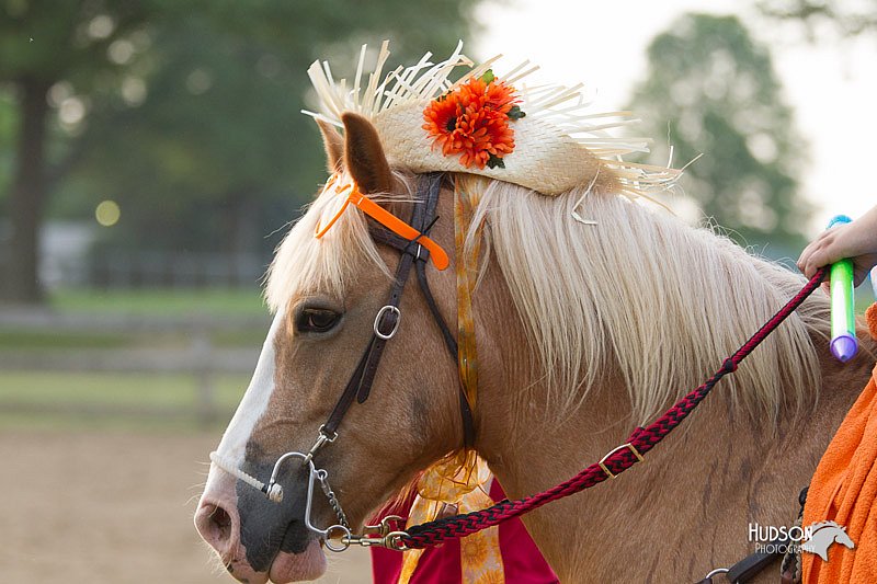 4H-Fun-Show-11_1546.jpg
