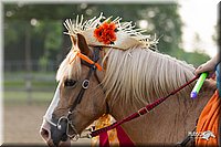 4H-Fun-Show-11_1547.jpg