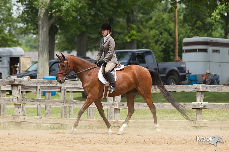 4H-Fun-Show-11_0415.jpg