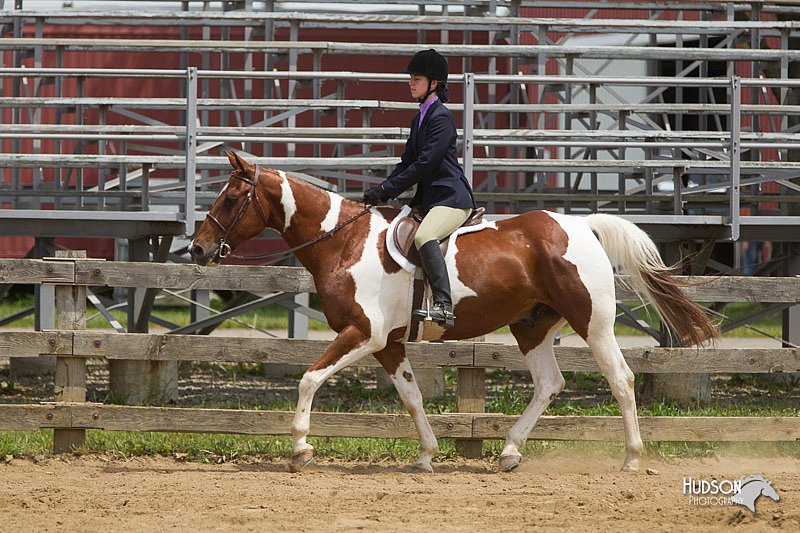 4H-Fun-Show-11_0419.jpg