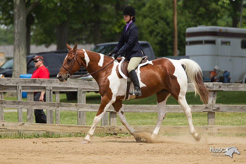 4H-Fun-Show-11_0423.jpg