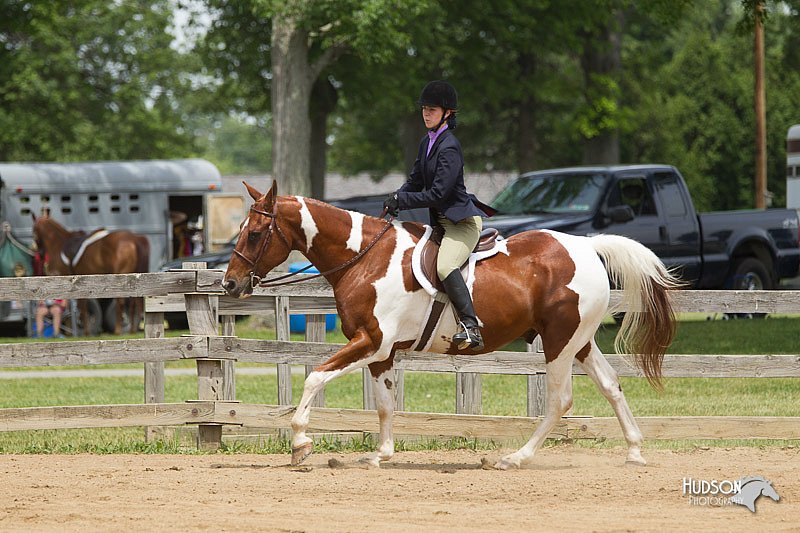 4H-Fun-Show-11_0431.jpg