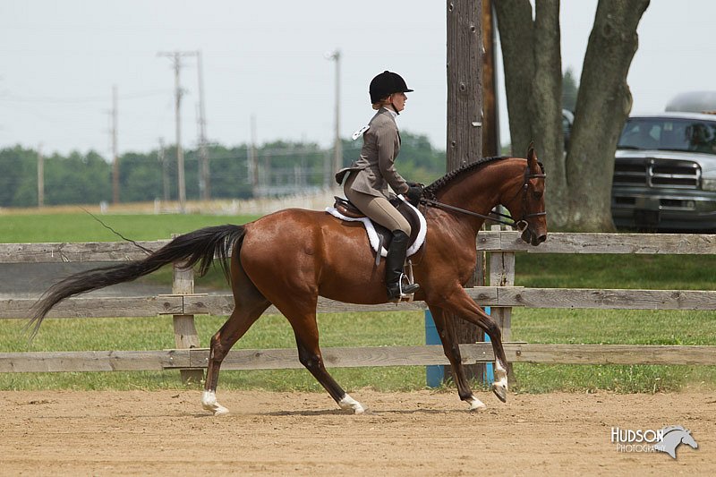 4H-Fun-Show-11_0436.jpg