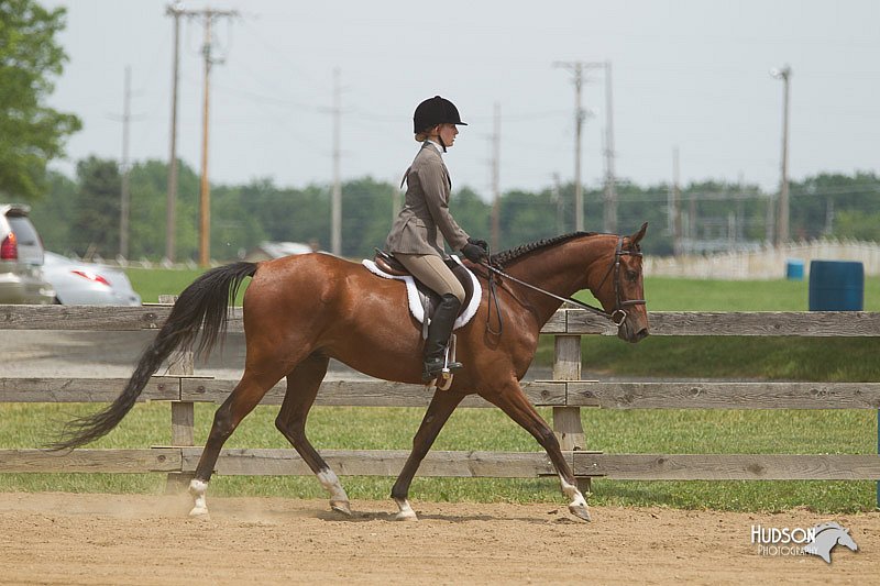4H-Fun-Show-11_0439.jpg