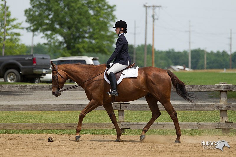 4H-Fun-Show-11_0444.jpg