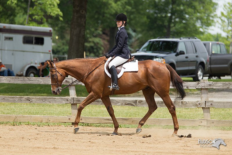 4H-Fun-Show-11_0445.jpg