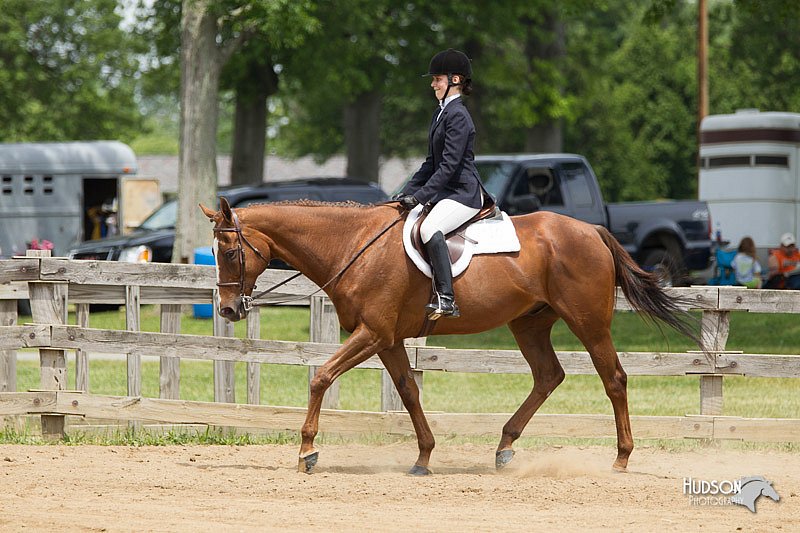 4H-Fun-Show-11_0446.jpg