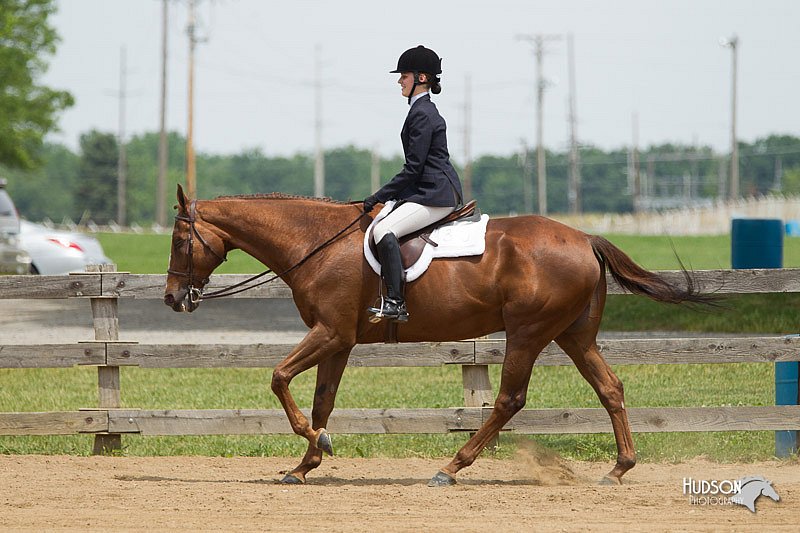 4H-Fun-Show-11_0448.jpg