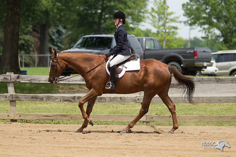 4H-Fun-Show-11_0449.jpg