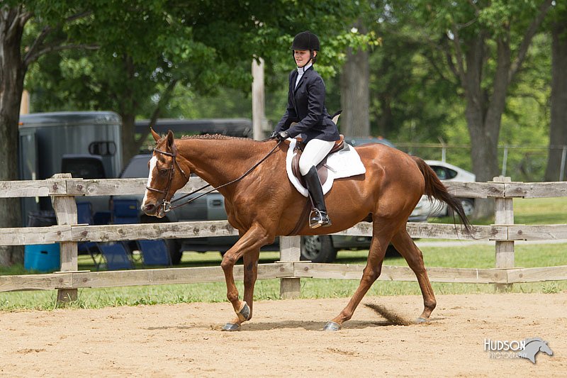 4H-Fun-Show-11_0451.jpg