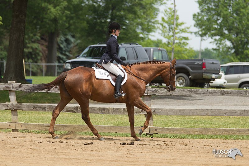4H-Fun-Show-11_0458.jpg