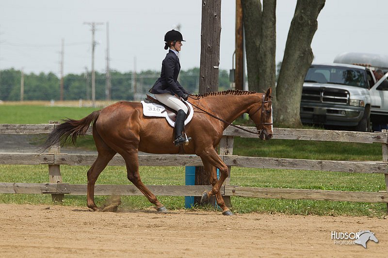4H-Fun-Show-11_0459.jpg