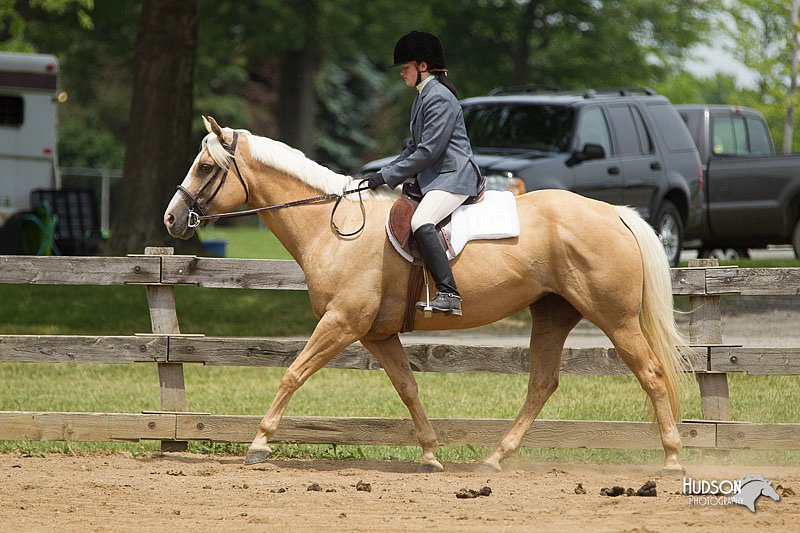 4H-Fun-Show-11_0466.jpg