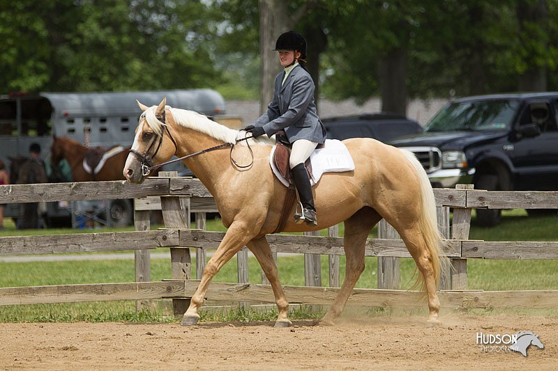 4H-Fun-Show-11_0468.jpg