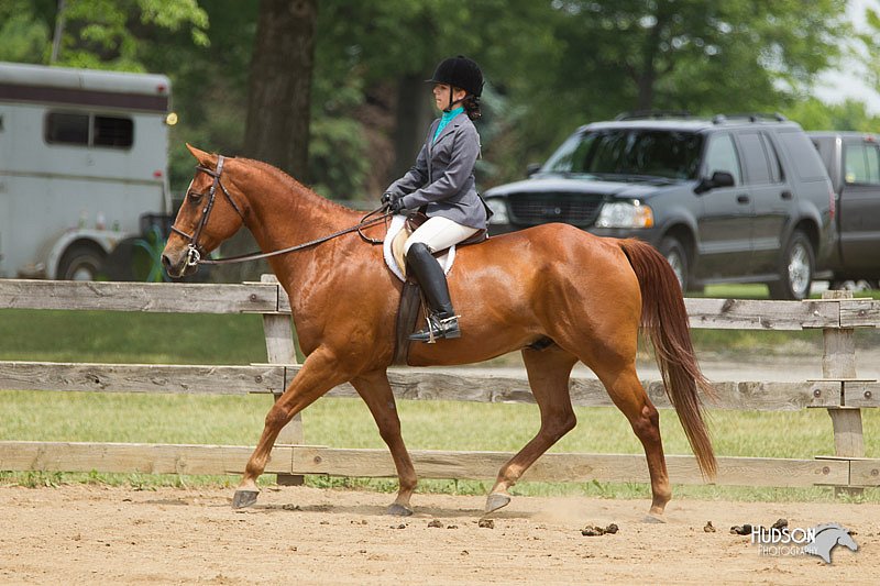 4H-Fun-Show-11_0469.jpg