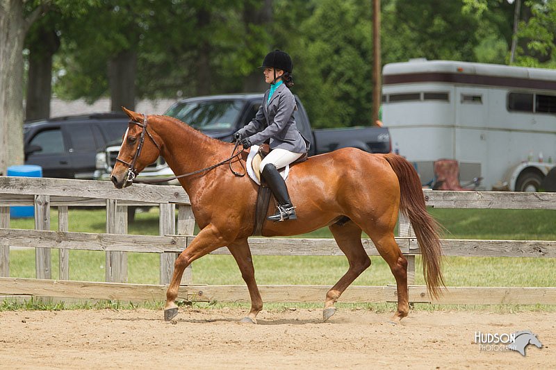 4H-Fun-Show-11_0470.jpg