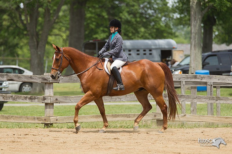4H-Fun-Show-11_0471.jpg