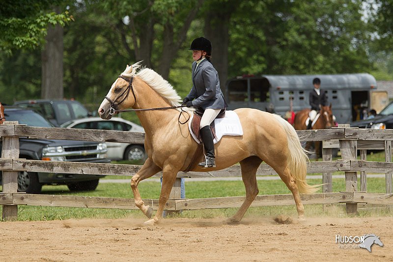 4H-Fun-Show-11_0478.jpg