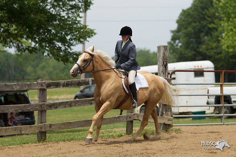 4H-Fun-Show-11_0479.jpg