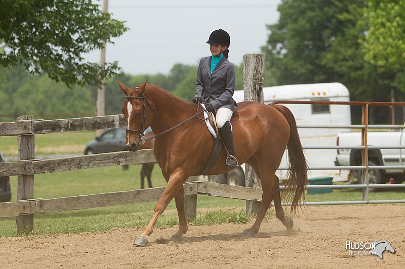 4H-Fun-Show-11_0481.jpg