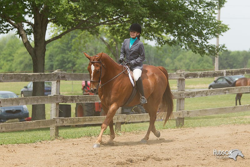 4H-Fun-Show-11_0482.jpg
