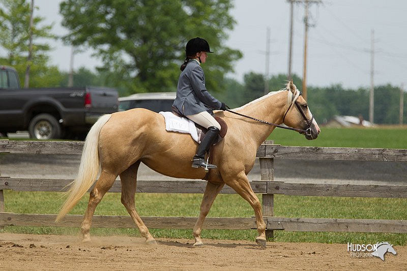 4H-Fun-Show-11_0487.jpg