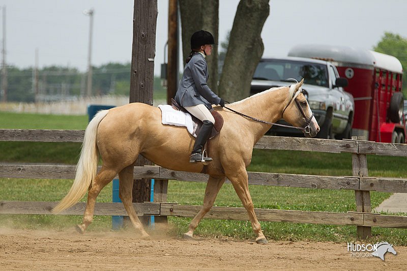 4H-Fun-Show-11_0488.jpg